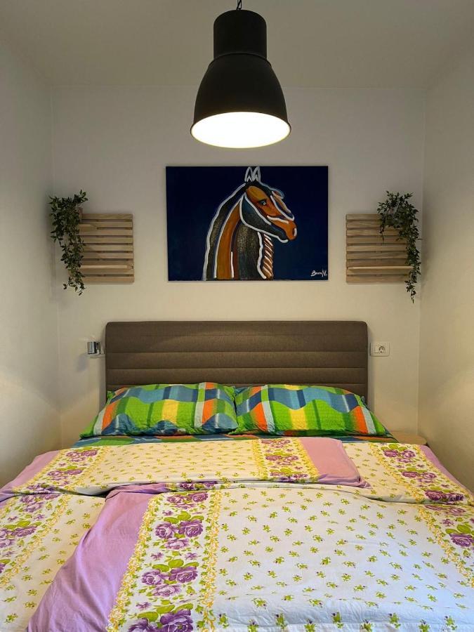 Apartment Sun&Sea, Senj, Prvi Red Do Mora Senj  Dış mekan fotoğraf
